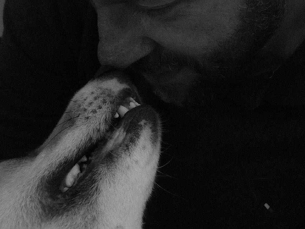 Photograph by Liudmila Shnel