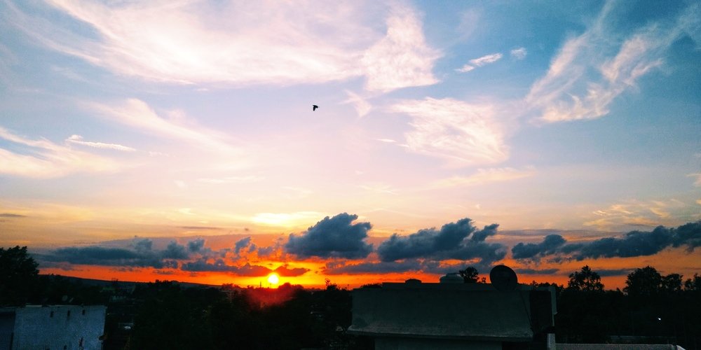 Photo #4600508