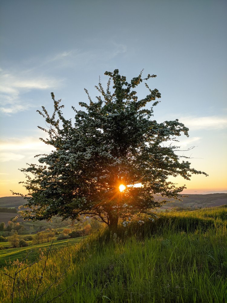 Photograph by Юрій Осипчук