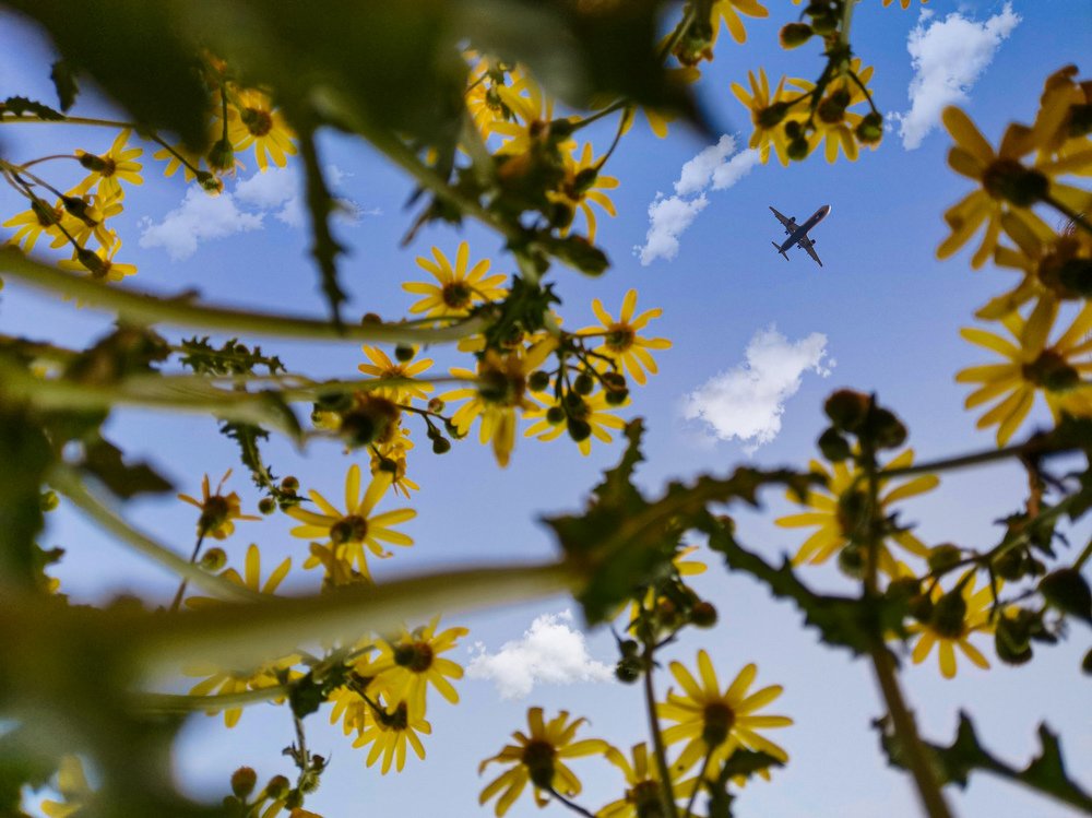 От земли до неба.