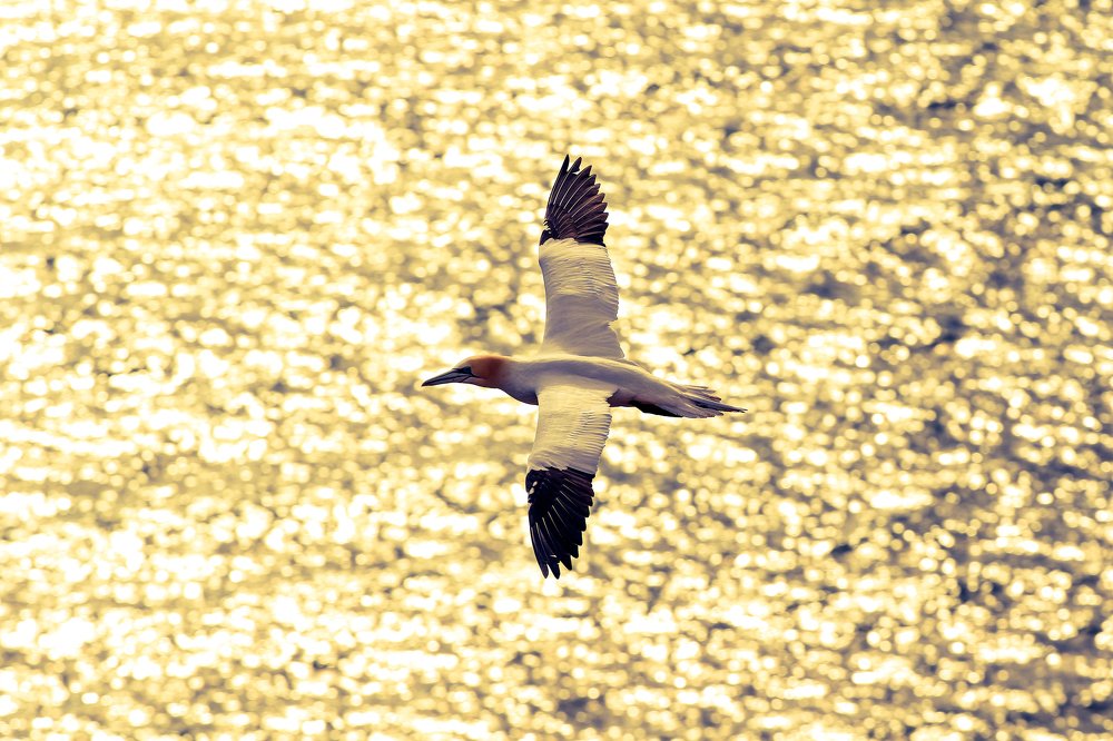 Photograph by Piotr Warzecha