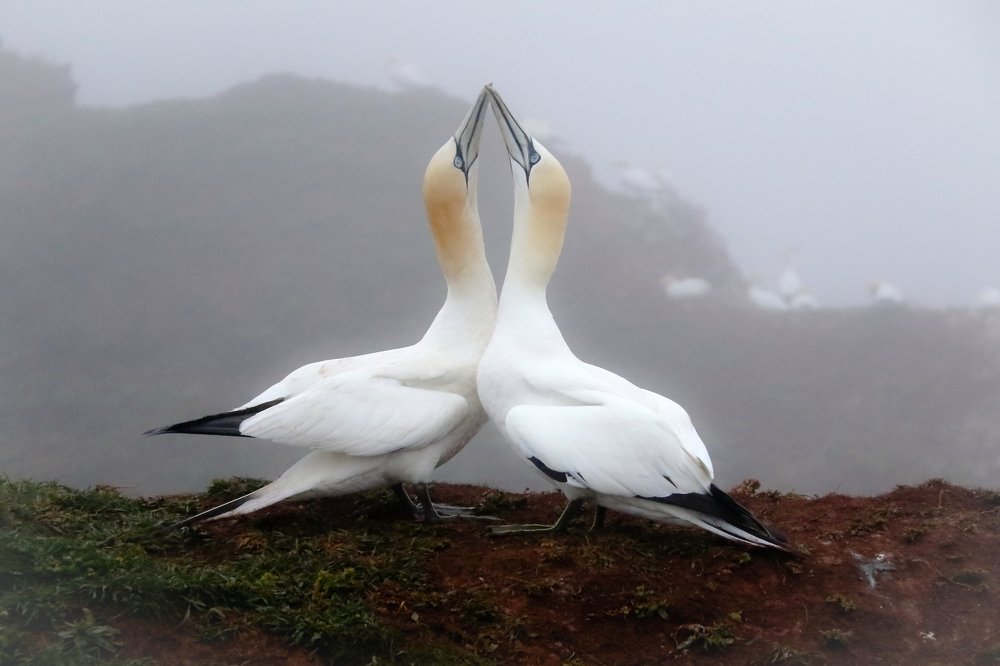 Photograph by Piotr Warzecha