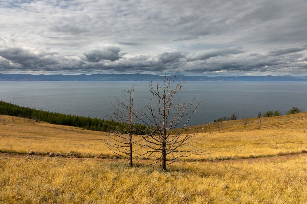 Photograph by Евгения Чех