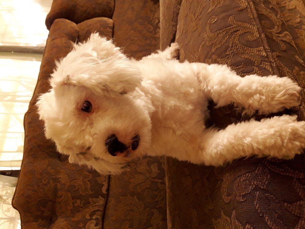 Photo #4600906