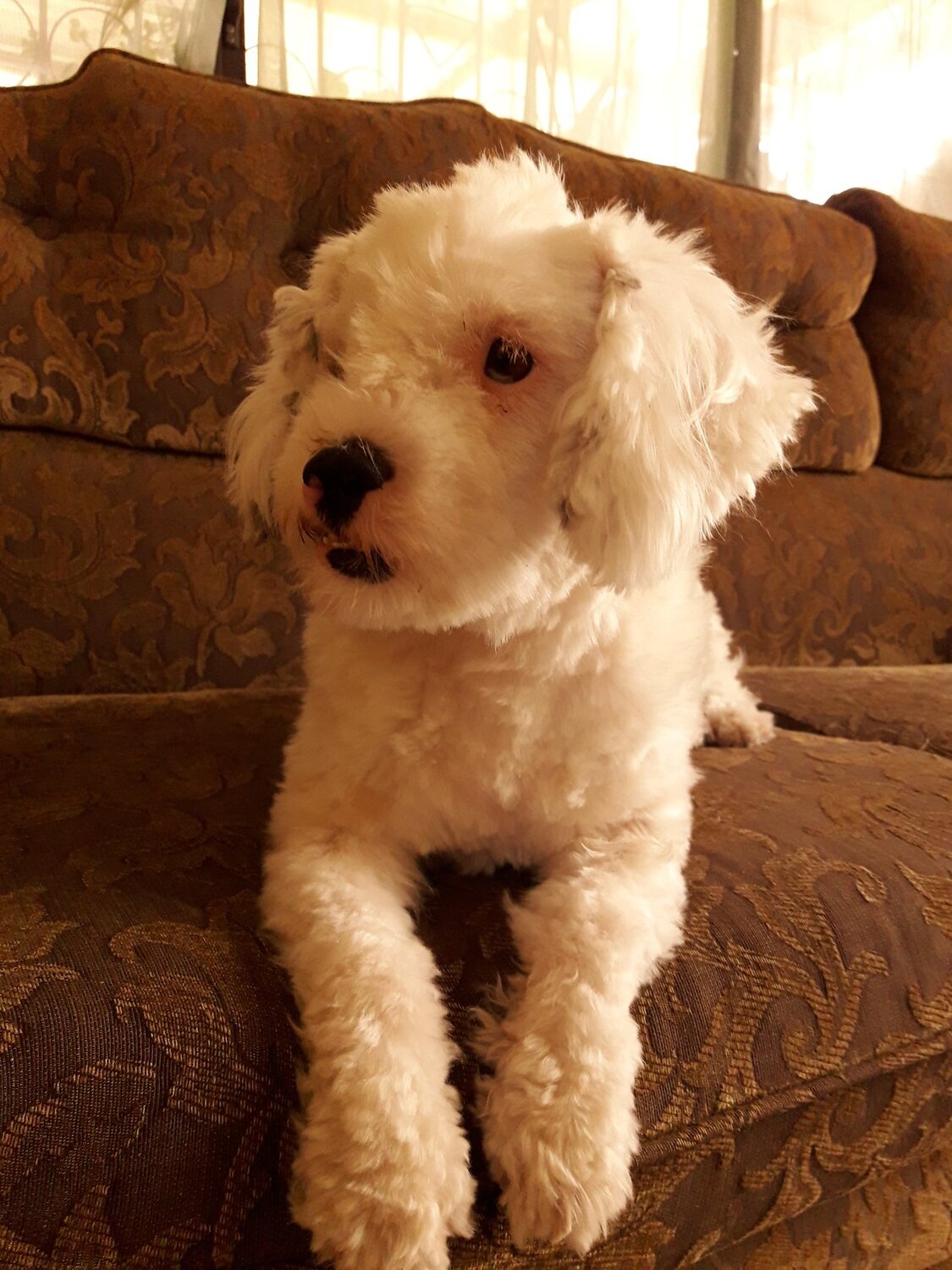 Photo #4600906