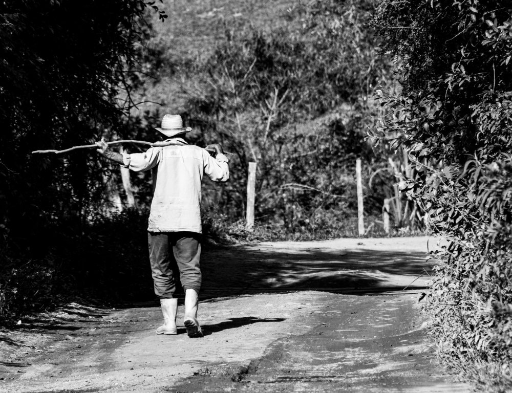 Photograph by VANDEIR FERREIRA SILVA PAIXAO