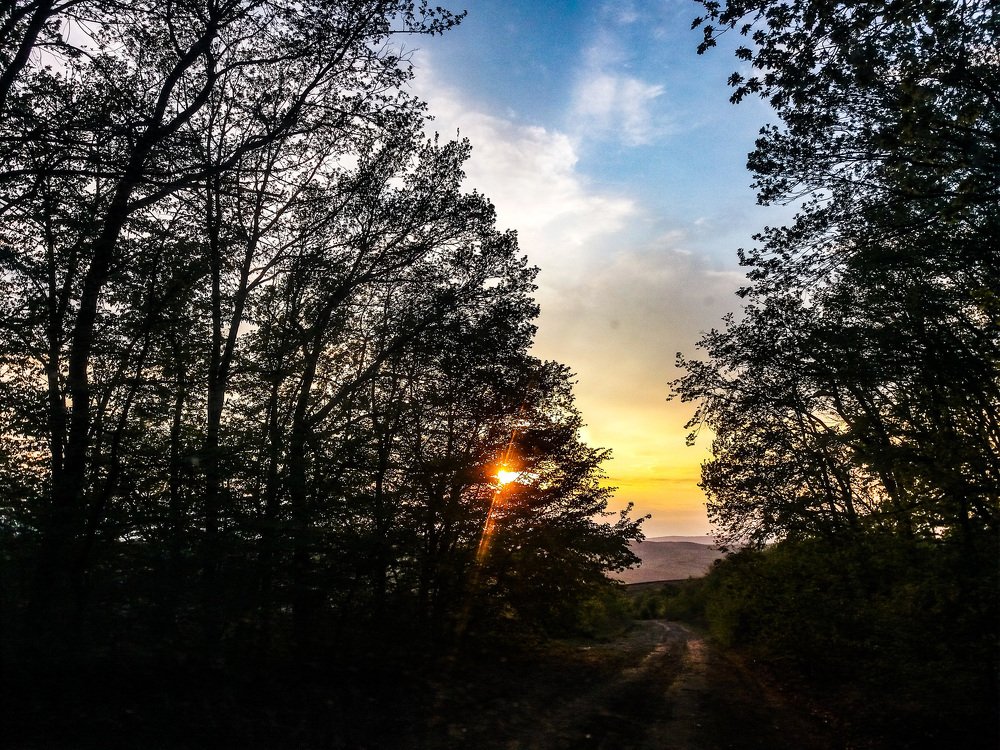 Photograph by Frimu Dumitru