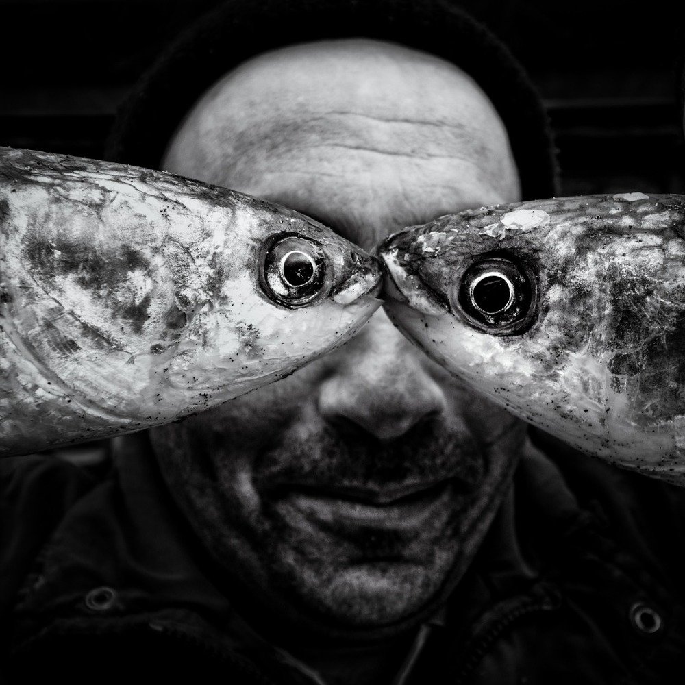 Photograph by amir ali navadeh shahla