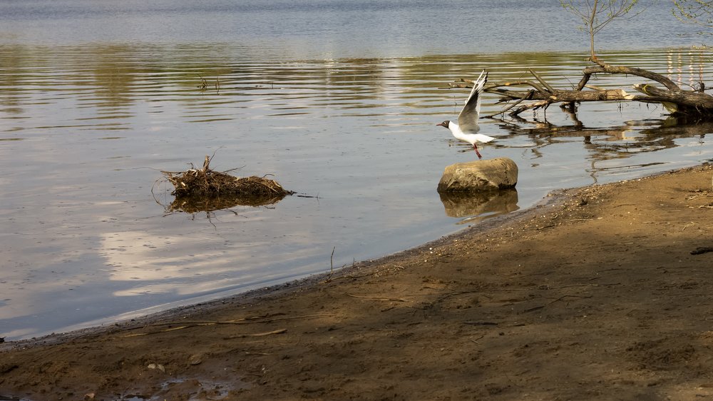 Photograph by Павел Фролов