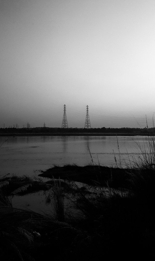 Photo #4601139