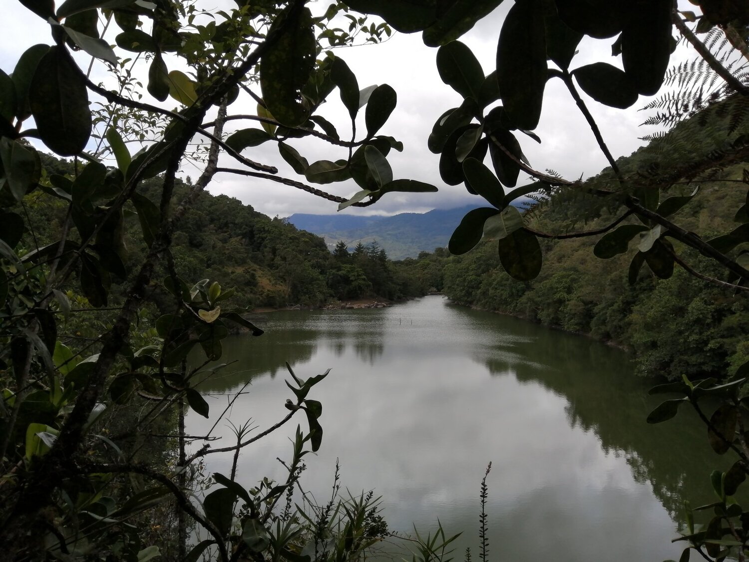 Photo #4601164