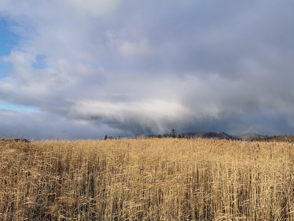 Photograph by Евгений Гусаков
