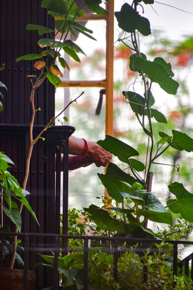 Photograph by SANCHARI SEN