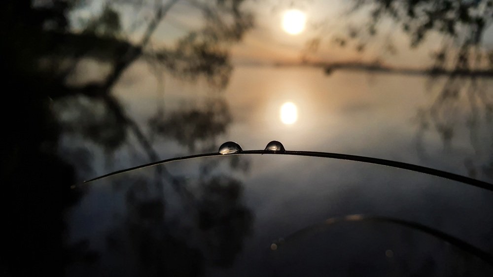 Photograph by Виктор Литошик