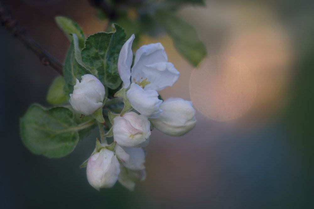 Photograph by Светлана Ульянова