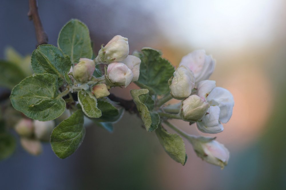 Photograph by Светлана Ульянова