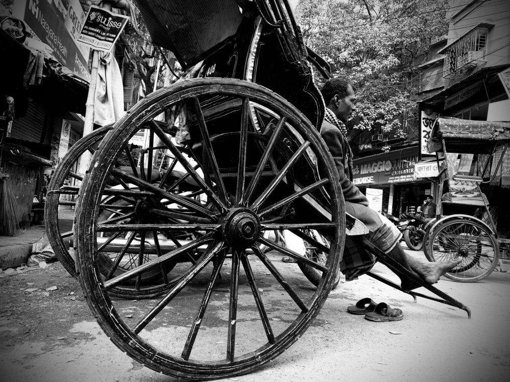 Photograph by FARDIN HOSSAIN FARDIN