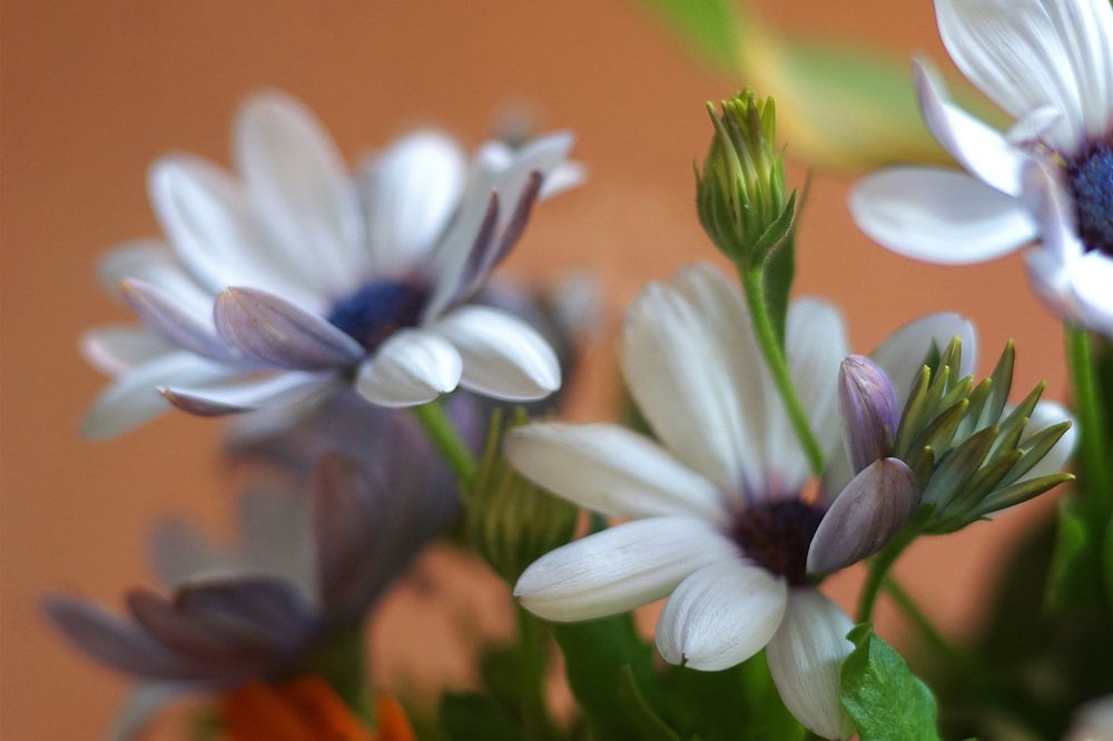 Photograph by Светлана Ульянова