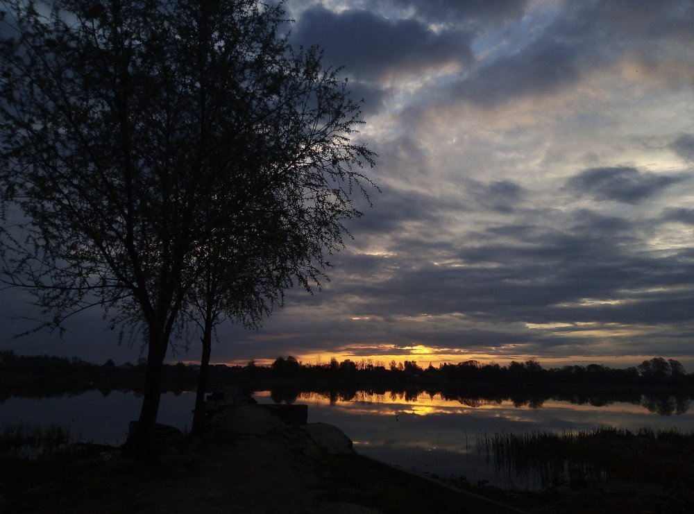 Photo #4601666