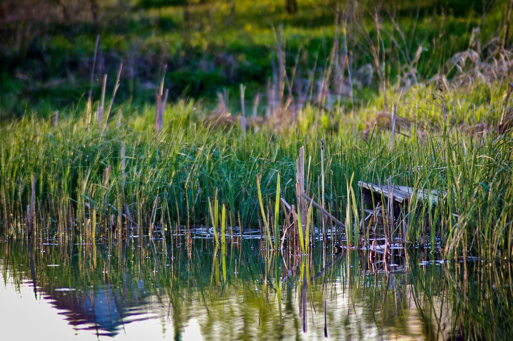 Photograph by Дмитрий Шартон