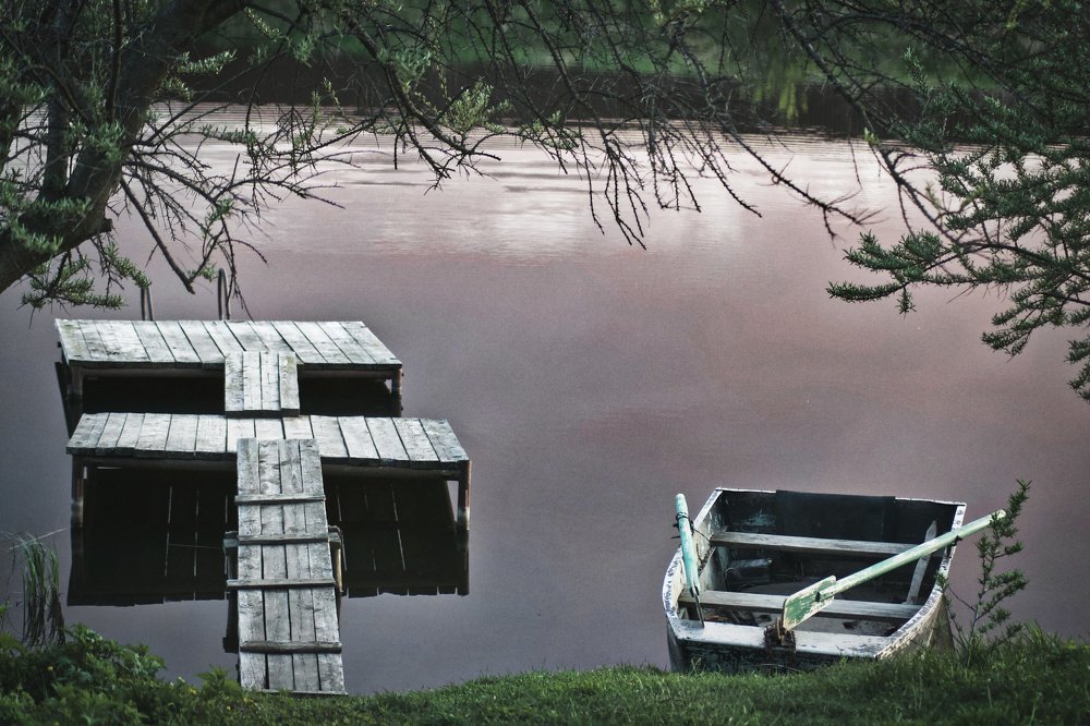 Photograph by Дмитрий Шартон