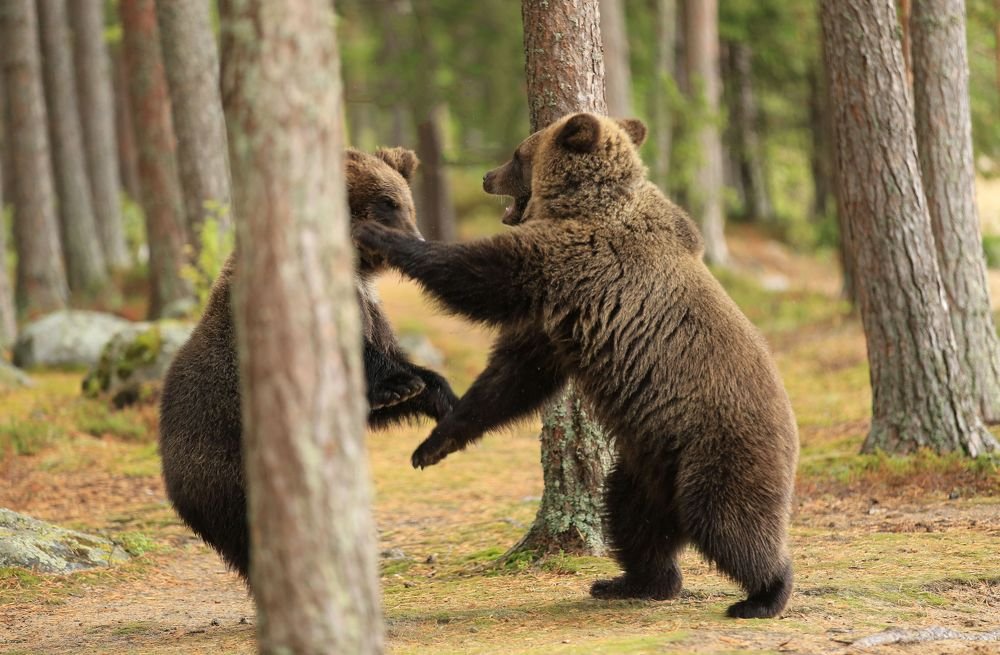 Фотография автора Юрий Кетель