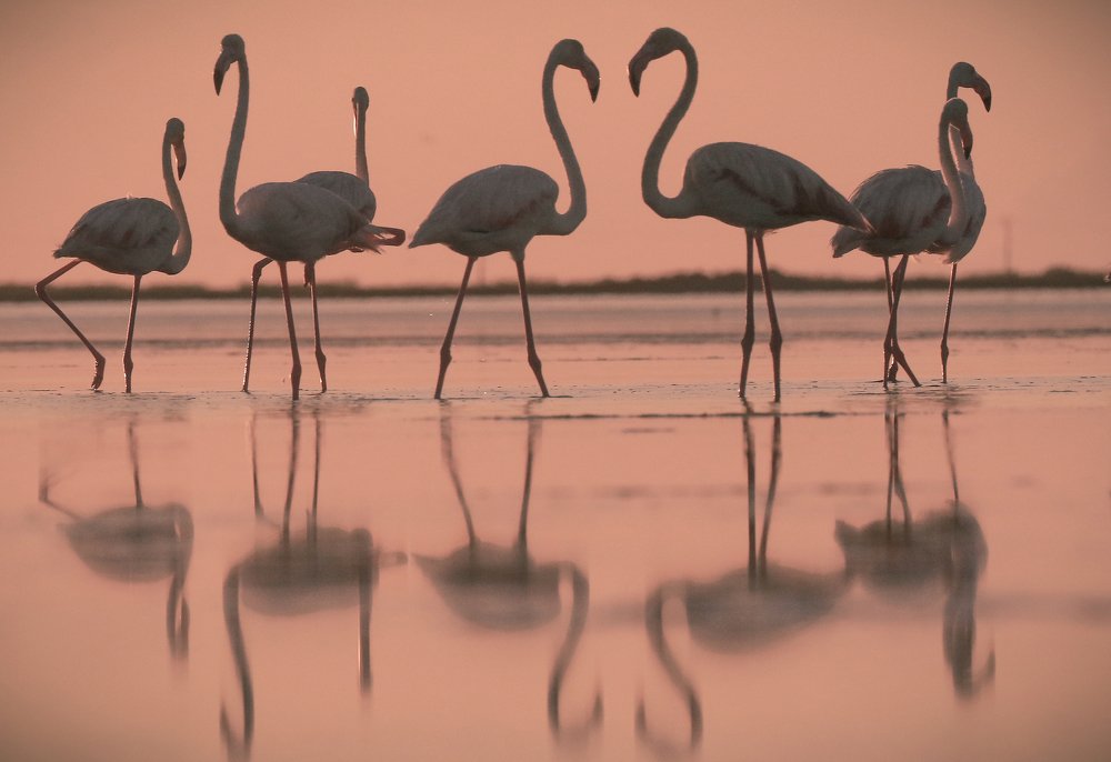 Photograph by Piotr Warzecha