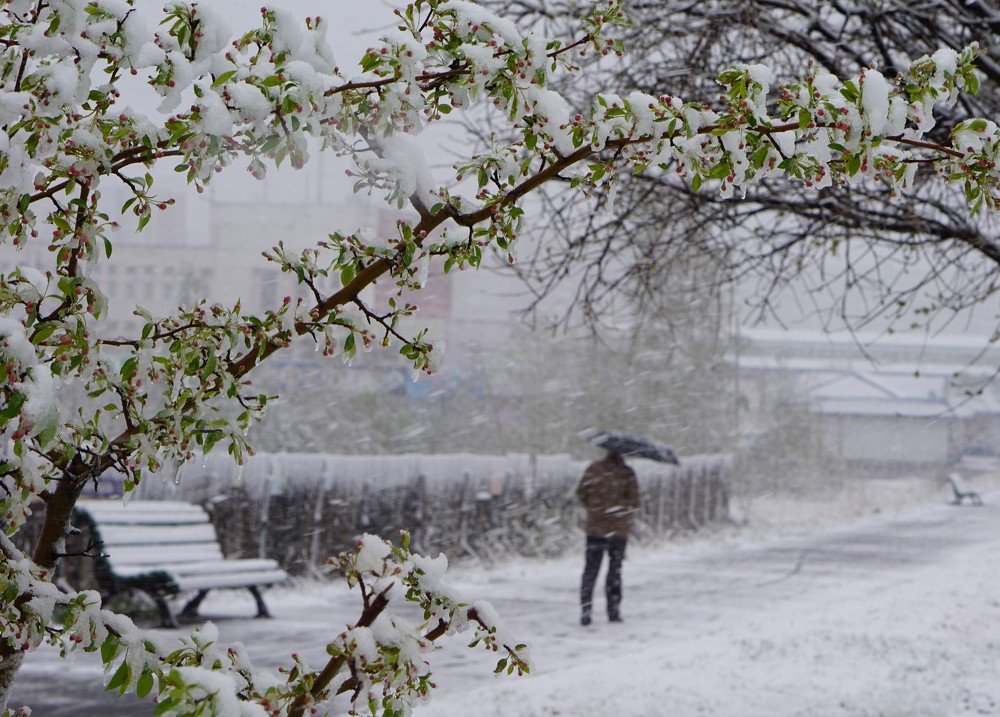 Photograph by Валентина Налетова