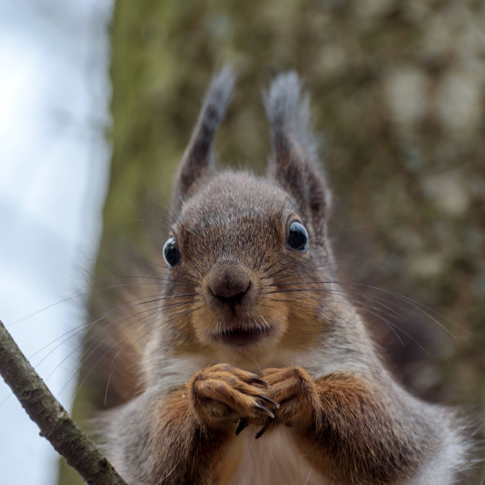 А что это вы тут делаете,а...?