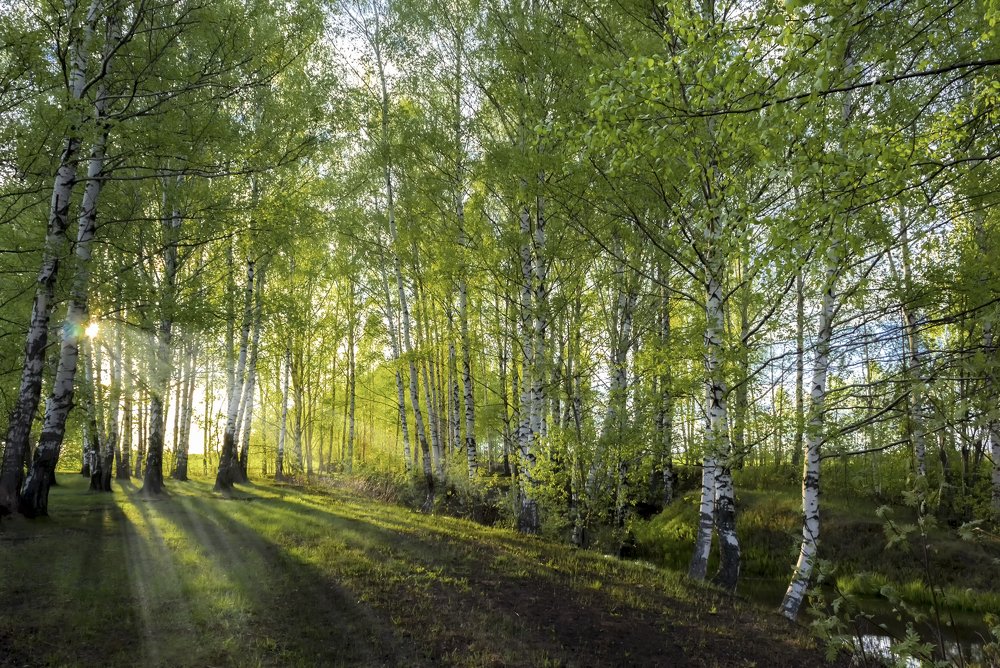 Photograph by Вениамин Кожинов