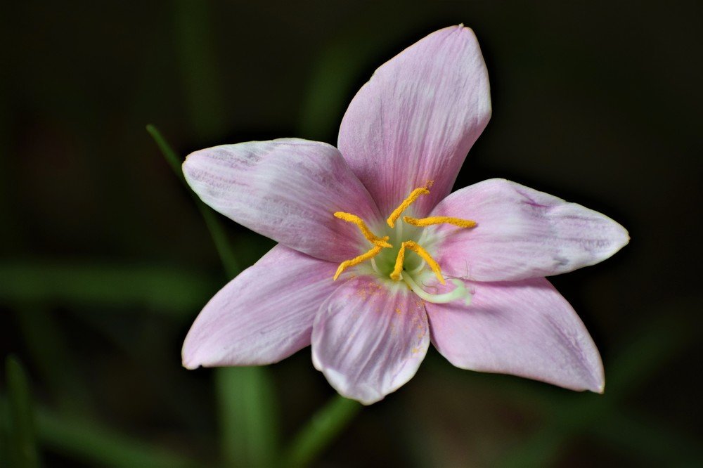 Photograph by Rajeev Sinha