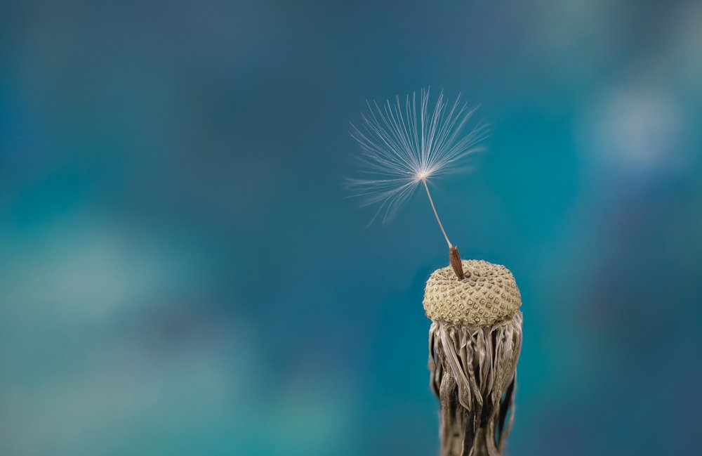 Photograph by Сергей Романченко