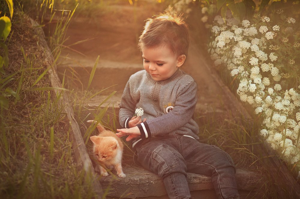 Photograph by Елена Андреева