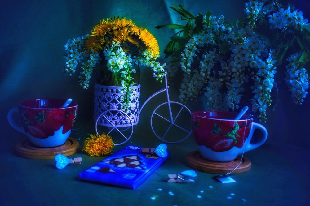 Photograph by Анна Репина