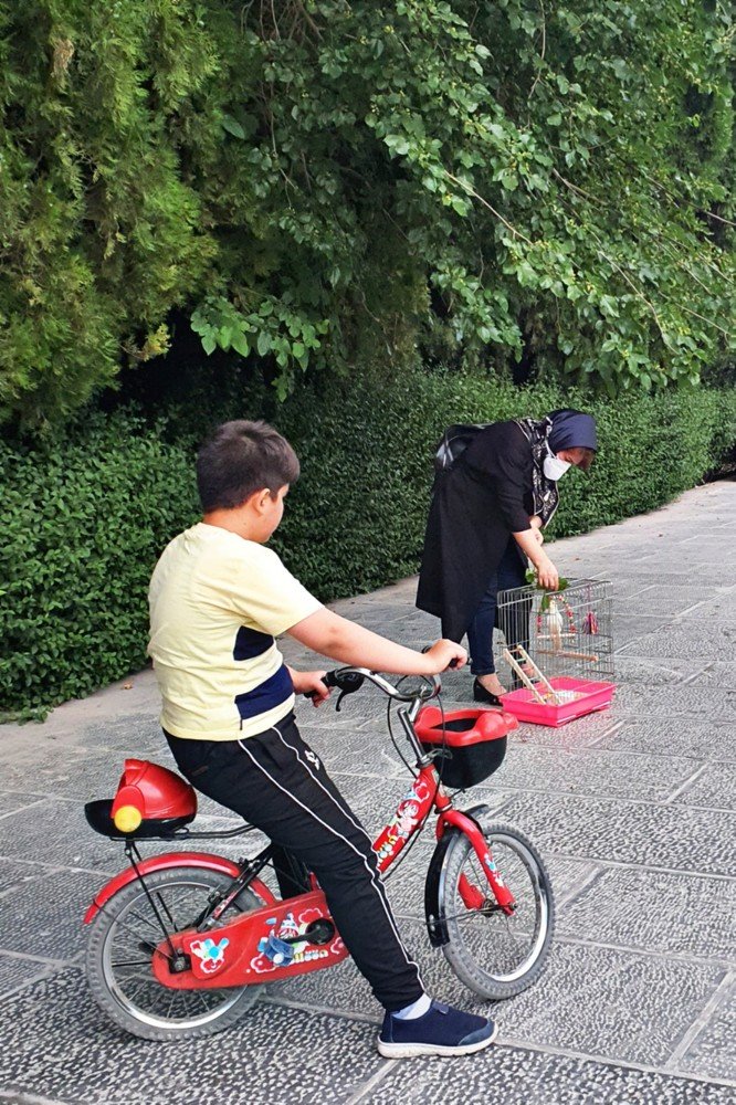 Photograph by Paria Tofangsaz