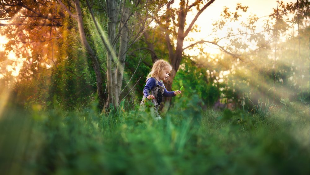 Photograph by Николай Красносельский