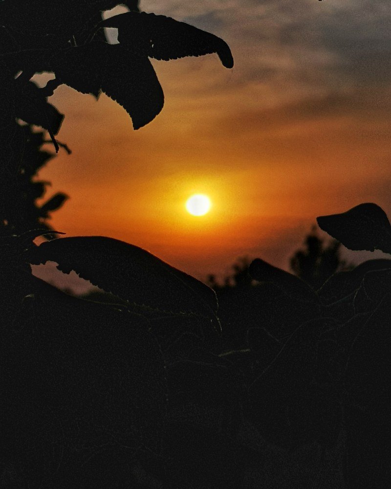 Photograph by Jenel Mirica