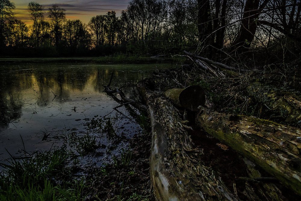 Photograph by Peter Hennig