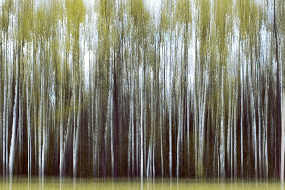 Photograph by Даша Ревинна