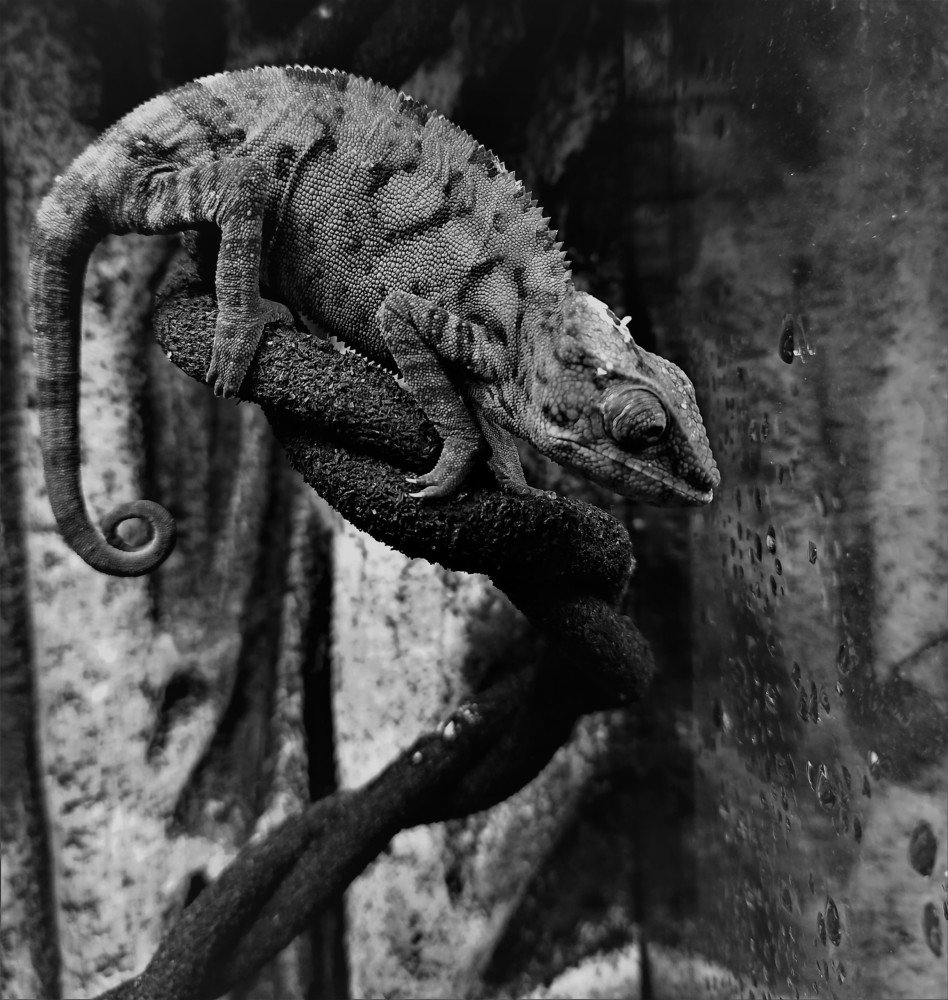 Photograph by Сергей Лобозов