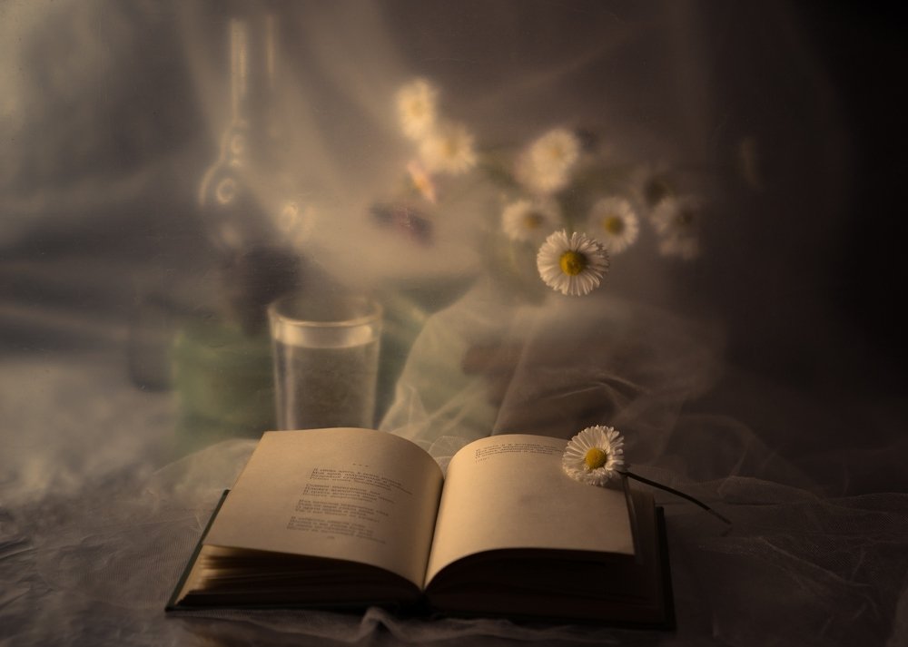 Photograph by Natalia Shilova