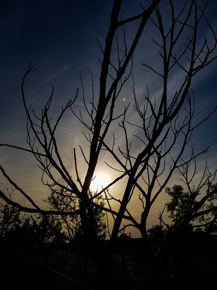 Photograph by Jenel Mirica