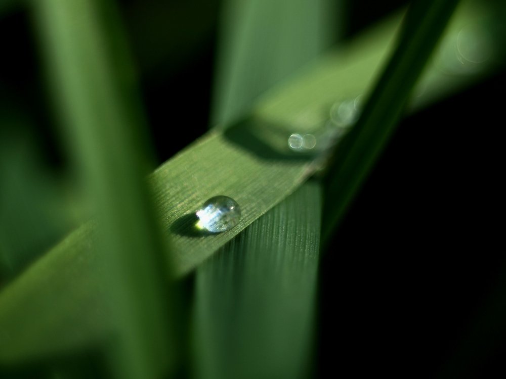 Капелька дождя/ a tiny drop of rain