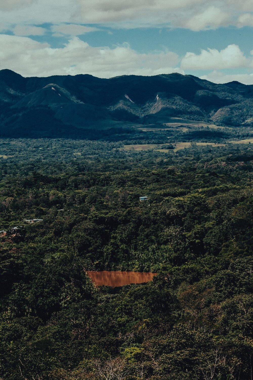 Selva del Perú