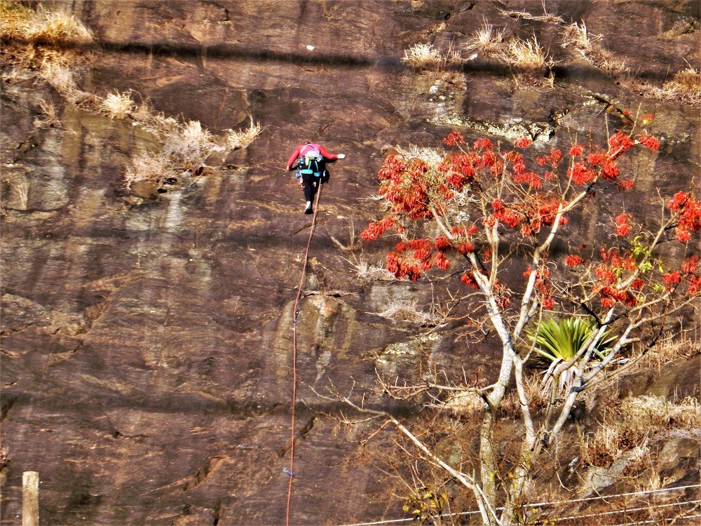 Photograph by João Fontes