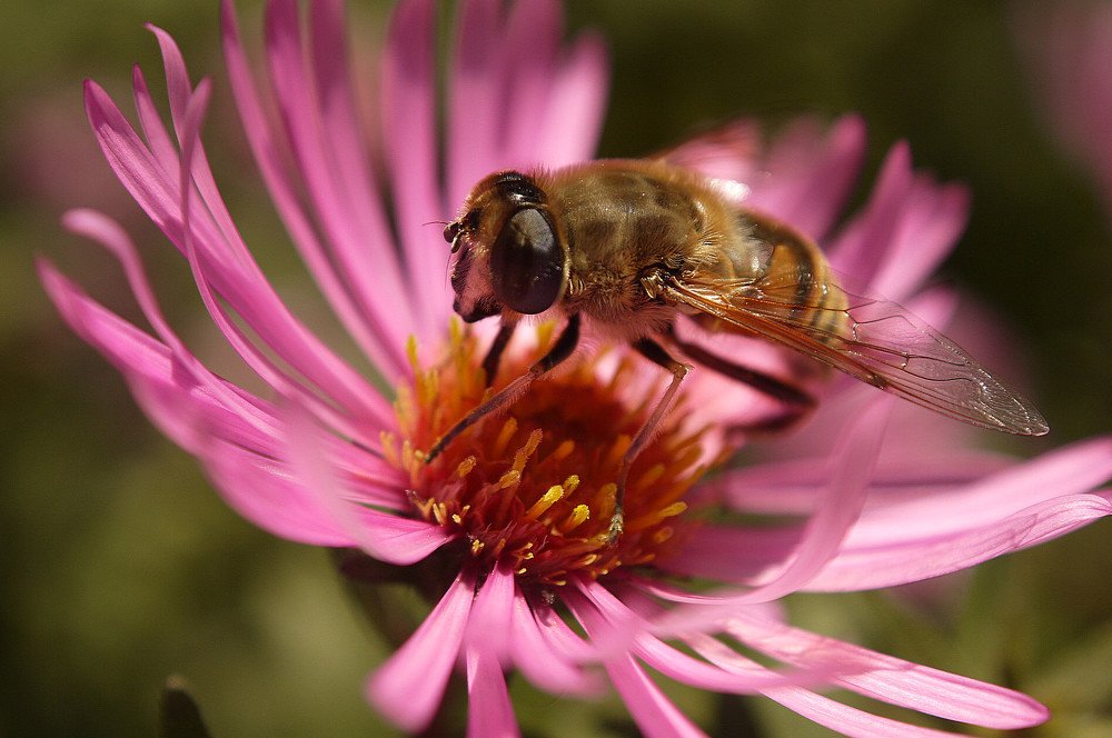 Photograph by Anatolii Graur