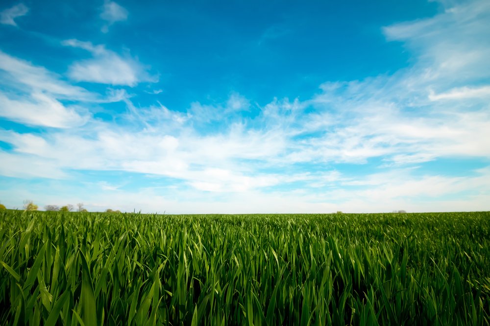 Photograph by Вячеслав Рудинский