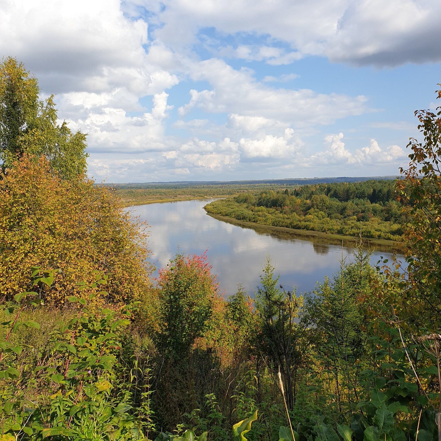 Photo #4603592