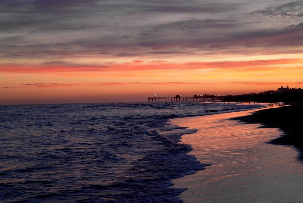 Photograph by Cynthia Fernandez