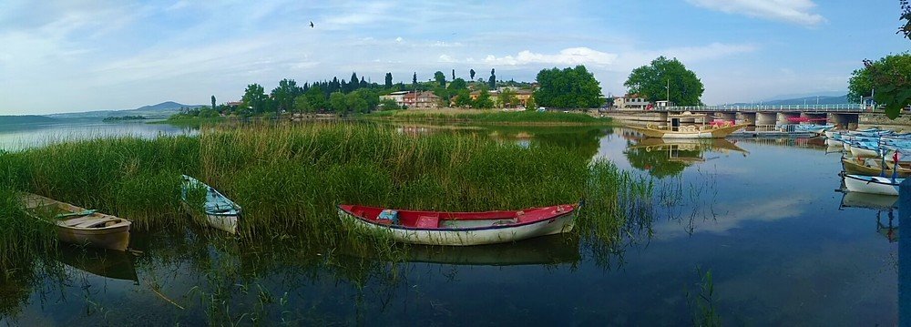 Photograph by Umur SAZAN